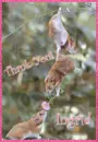 Thank You 4 Ingrid