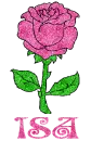 Isa Pink Rose