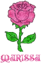 Marissa Pink Rose