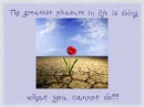 The Greatest Pleasure in Life