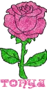 Tonya Pink Rose