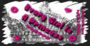Every Girl Is A Princess