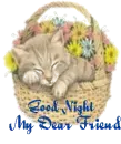 Good Night