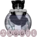 Maggie cat in fish bowl