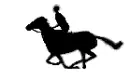 Run horse