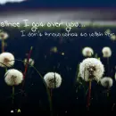 Love - Got over you