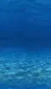 agua azul