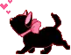 black kitty