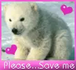 Save the planet