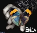 Erica