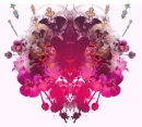 hott art