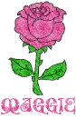 Maggie Pink Rose