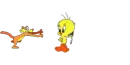 Hola