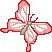 Red Butterfly.