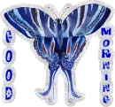 Good Morning Butterfly
