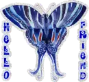 Hello Friend Butterfly
