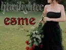twilight name plate 