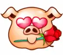a pig in love