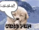 pup laughing