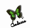 Andreea color changing butterfly