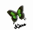 Kiera color changing butterfly