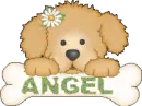 Angel dog