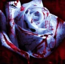 Blood Rose