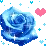 blue rose