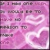 If I had one wish...