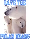 Save the Polar Bears