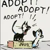 Adopt