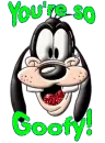 YOU'RE SO GOOFY 