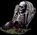 Tumba Calavera