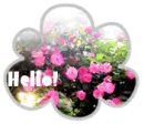 hello!