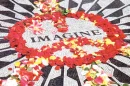 imagine