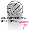 Volleyball