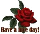 Have A nice Day