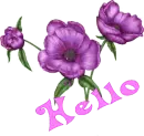 Hello
