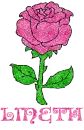 Lineth Pink Rose