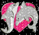 Dolphins and love heart