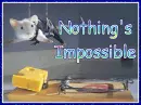 Nothing's Impossible!
