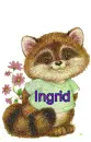raccoon-Ingrid