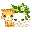 kittens