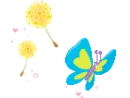 blue butterfly