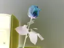 Neon Rose