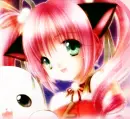 kittykat.