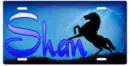 Shan
