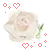 little rose