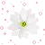 little flower