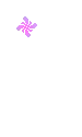 Groovy Stars